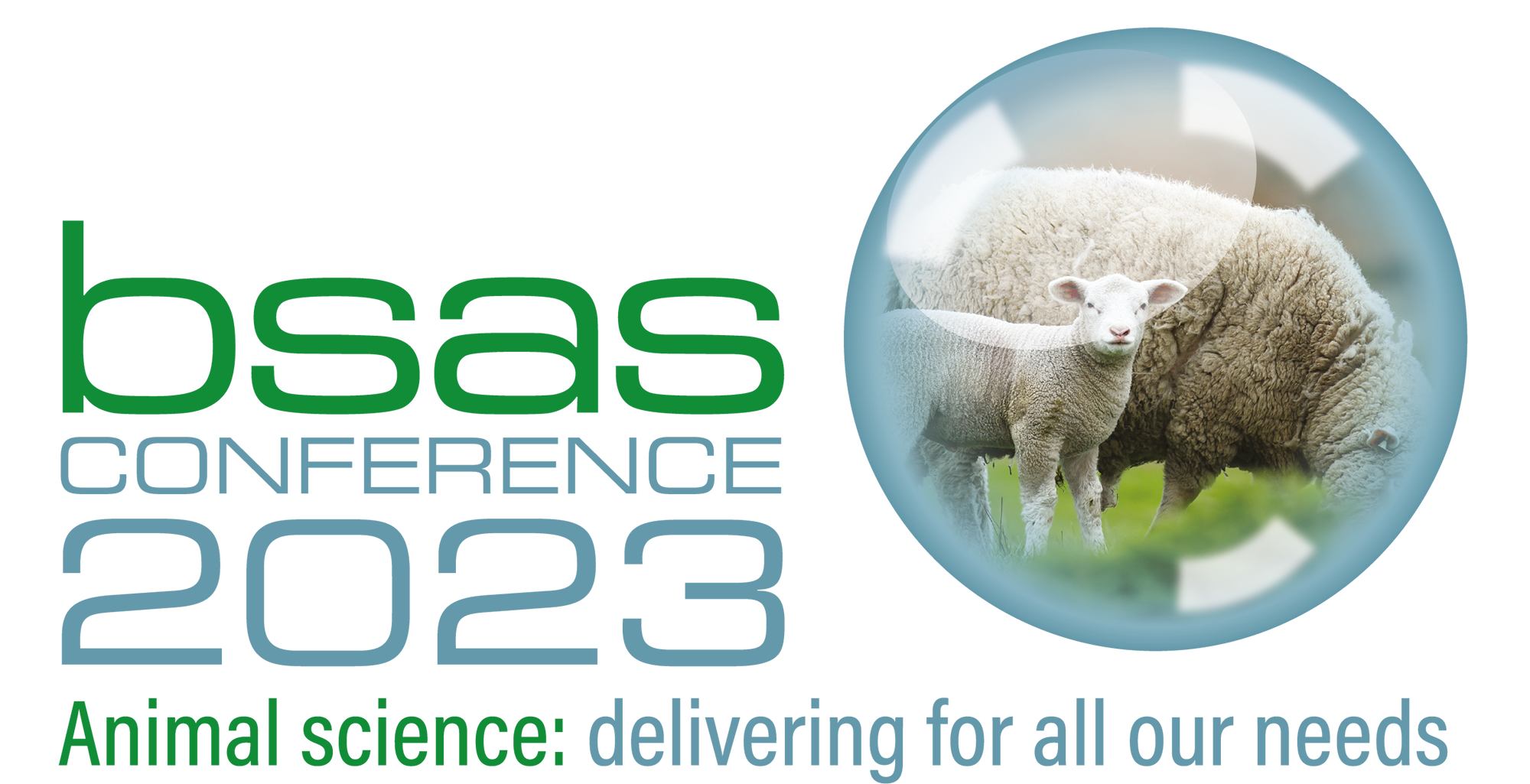 BSAS 2023 Banner